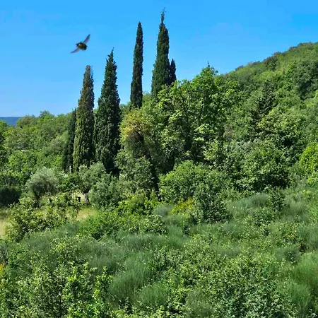 La Vita Bella Herceg Novi Exterior photo